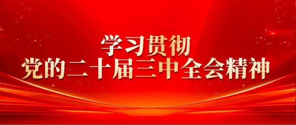 學(xué)習(xí)貫徹黨的二十屆三中全會(huì)精神② 產(chǎn)發(fā)園區(qū)集團(tuán)董事長(zhǎng)劉孝萌：抓好“建、招、儲(chǔ)、運(yùn)”,建設(shè)高質(zhì)量產(chǎn)業(yè)園區(qū)